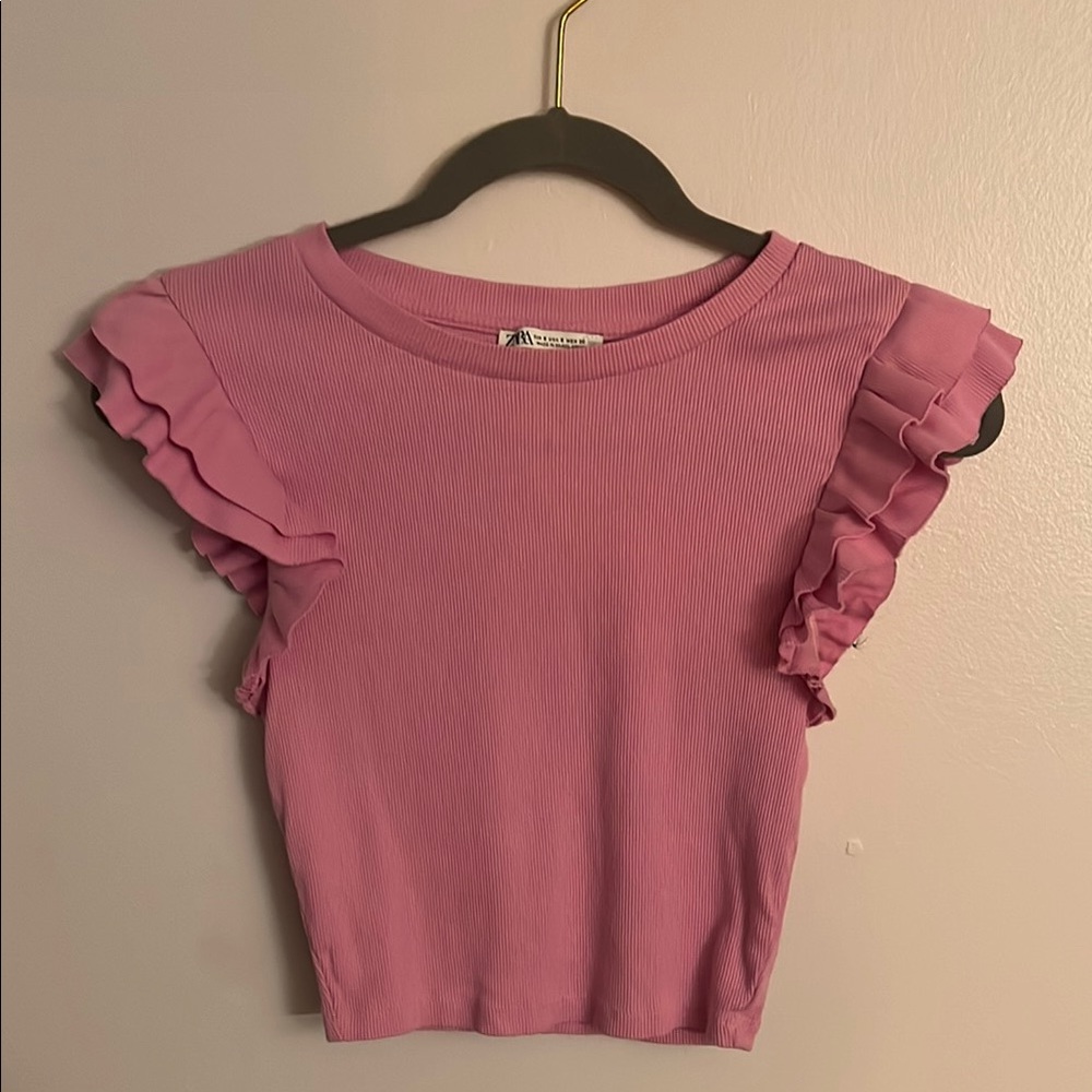 Zara Blush Ruffle Sleeve Blouse